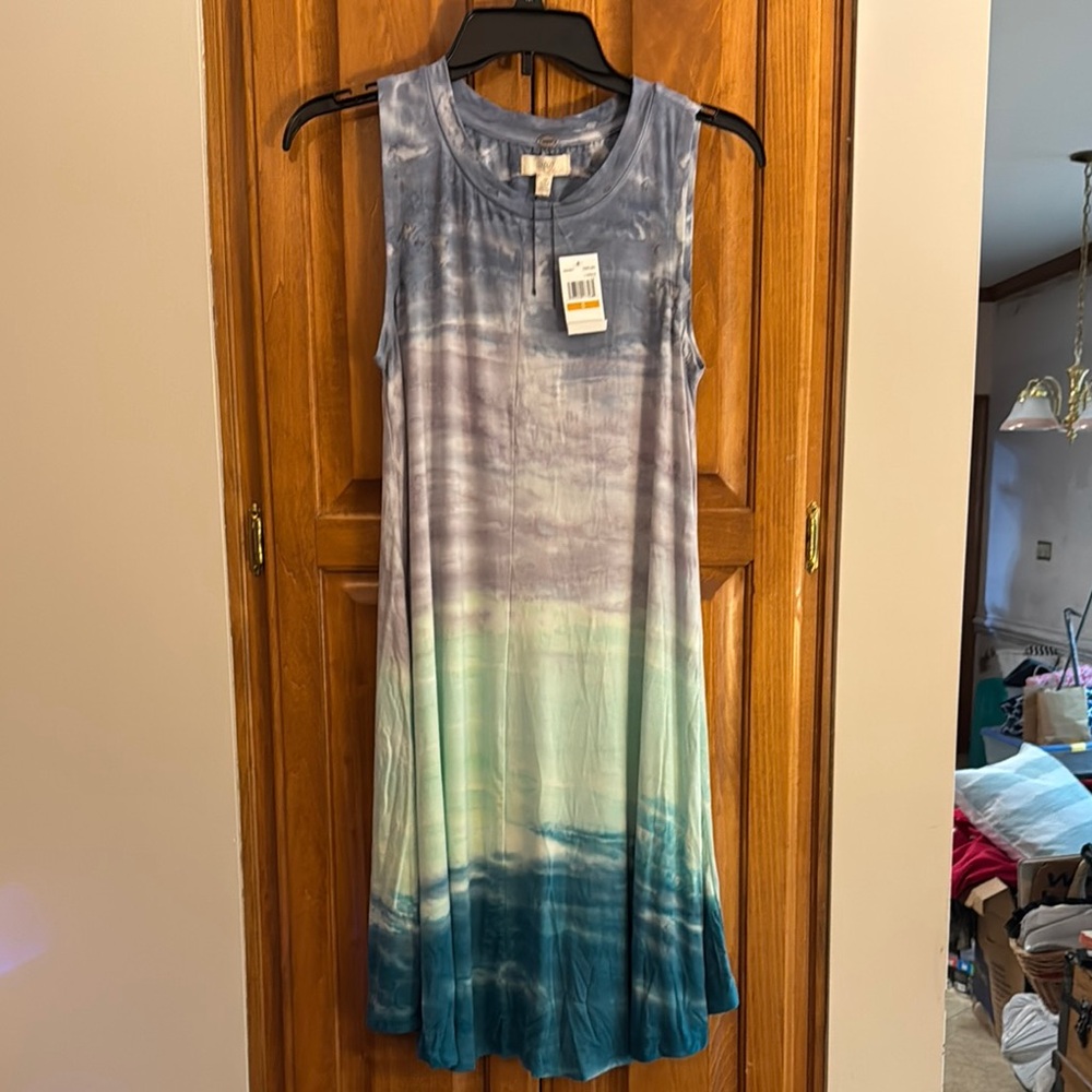 Beautiful Gradient Sleeveless Dress